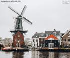 Adriaan Mill, Χάρλεμ, Ολλανδία